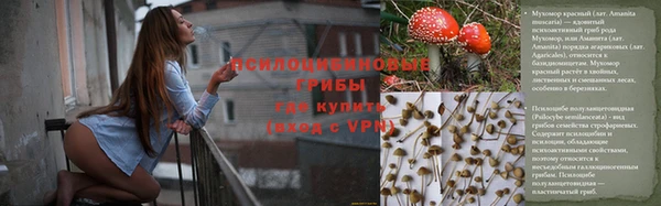 мескалин Алексин