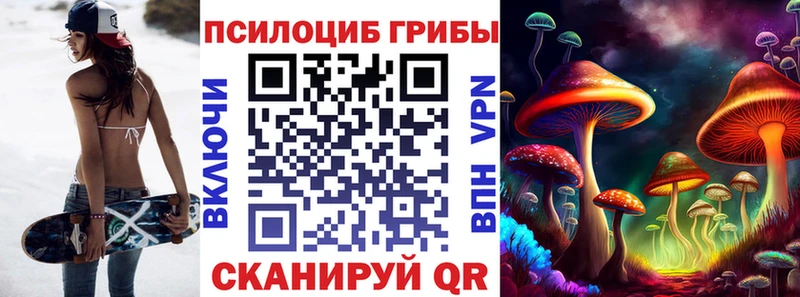 Псилоцибиновые грибы Magic Shrooms  Гвардейск 